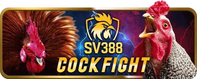 Tính năng bảo mật của wibo88 casino