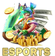 Dịch vụ hỗ trợ khách hàng Wibo88 Casino
